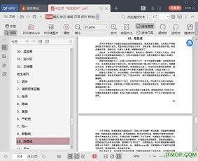 421页pdf娱乐圈吃瓜文件电子版